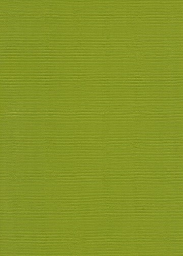 Cartenza Moss Green 021