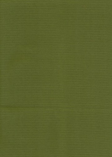 Cartenza Olive Green 070