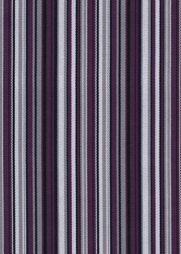 Stripes Bray 060 Purple